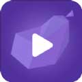 qzdsp茄子抖音短视频app
