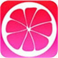 蜜柚app下载汅api免费下载最新版