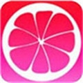 蜜柚app下载汅api免费精简版