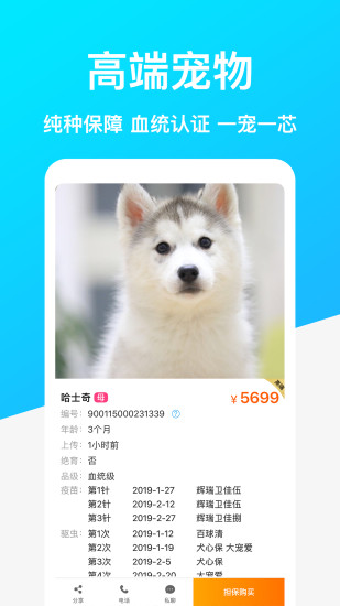 宠物市场app安卓版下载