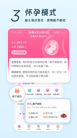 美柚2023最新版app下载